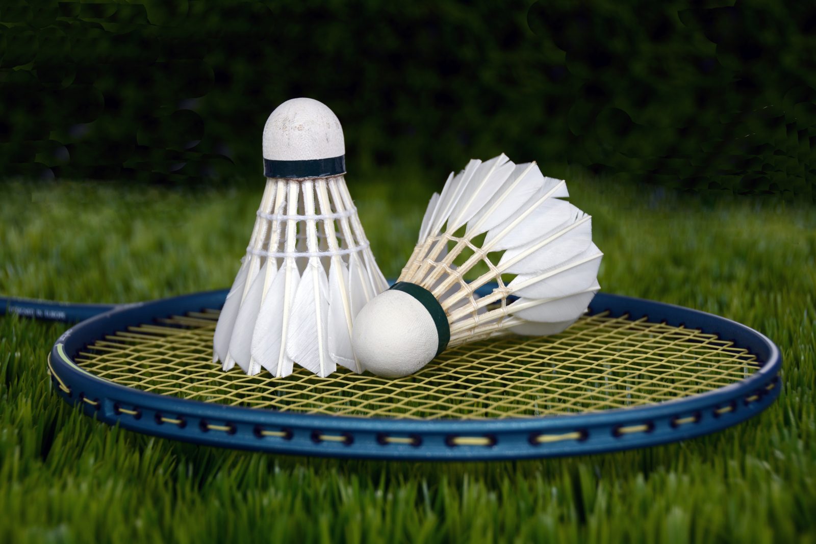  Vamos Badminton Teams